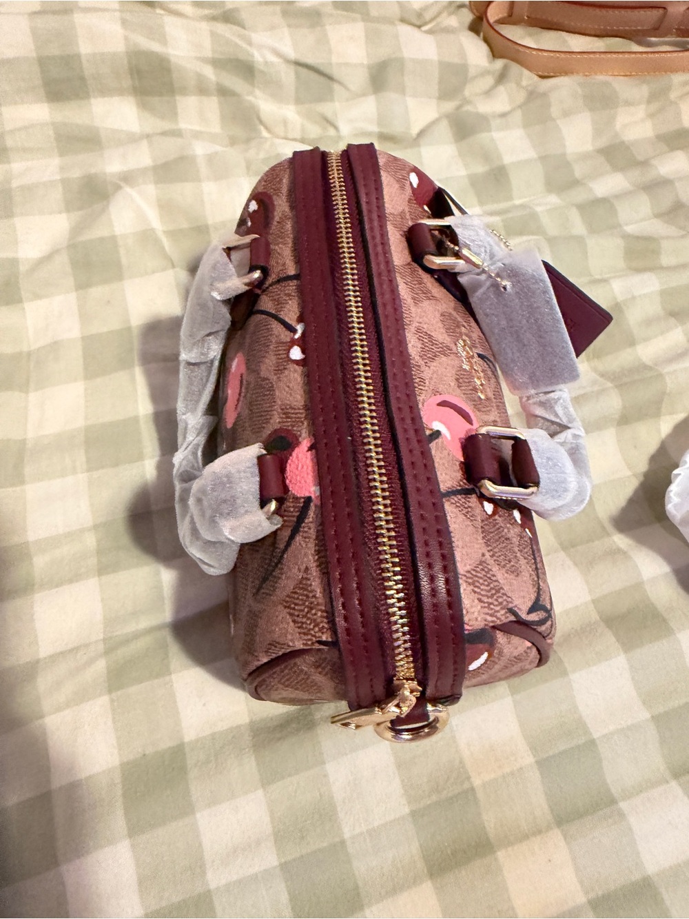 Coach Cherry Print Mini Satchel in Brown/Red - Picture 5 of 5